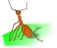 swint logo